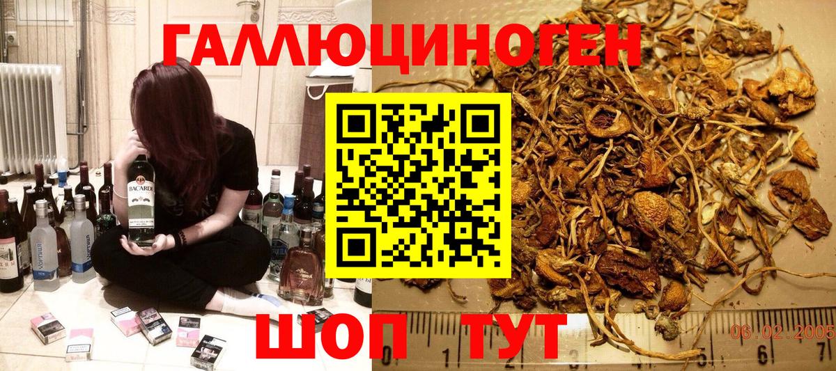 Псков  Галлюциногенные грибы Magic Shrooms  Вход с VPN  Псилоцибиновые грибы MAGIC MUSHROOMS 
